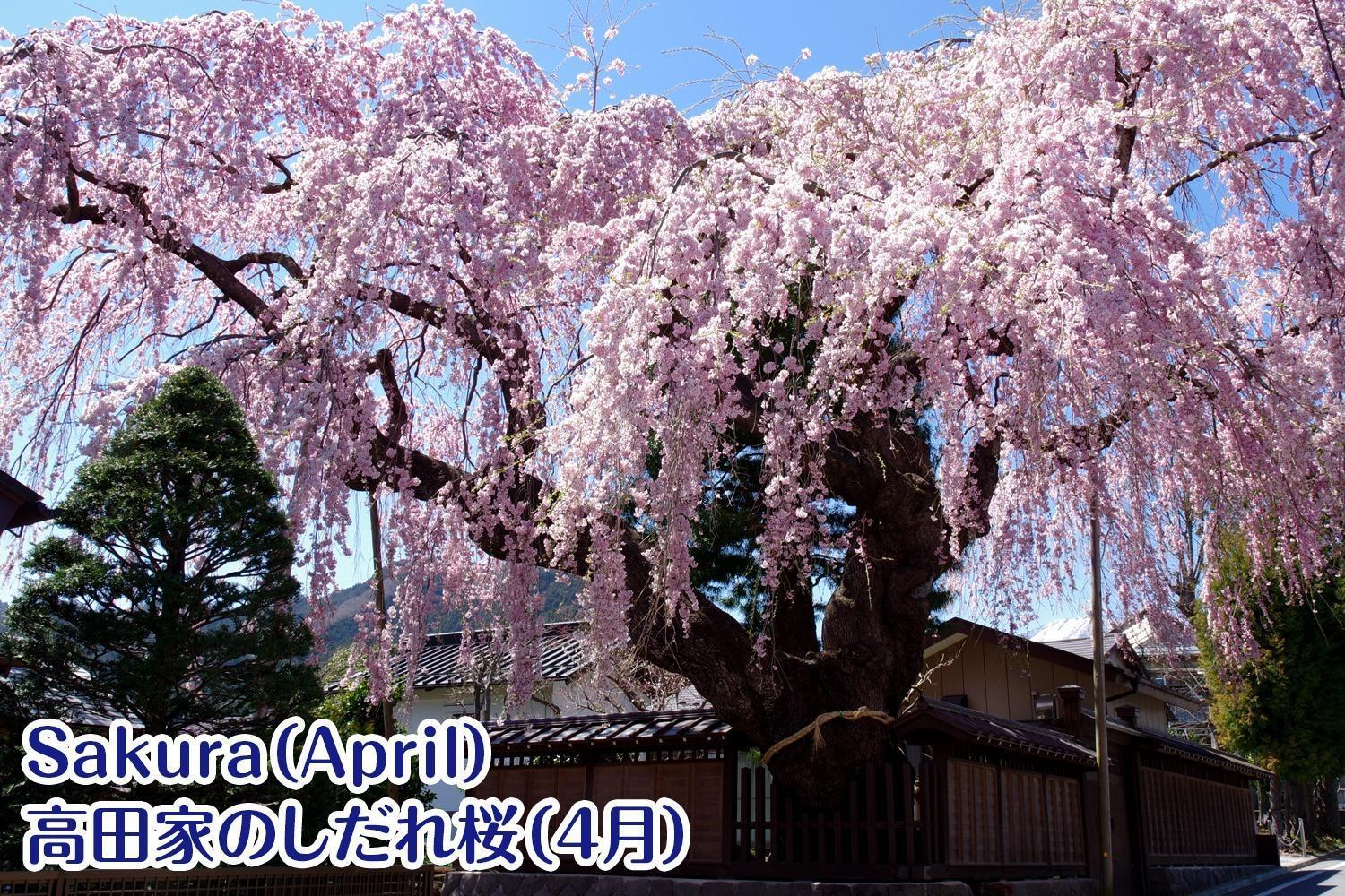 Nikko Stay House Arai - Vacation Stay 14994V Екстериор снимка